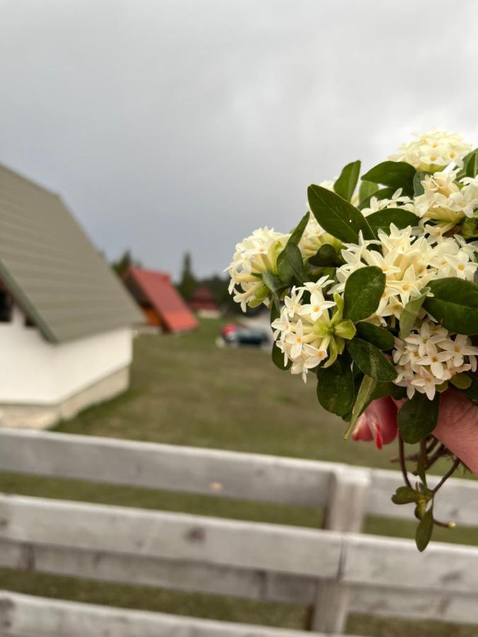 Bungalows Krstajic Žabljak Kültér fotó