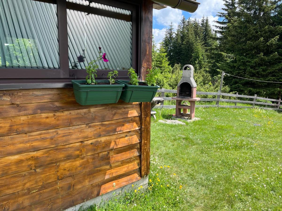 Bungalows Krstajic Žabljak Kültér fotó