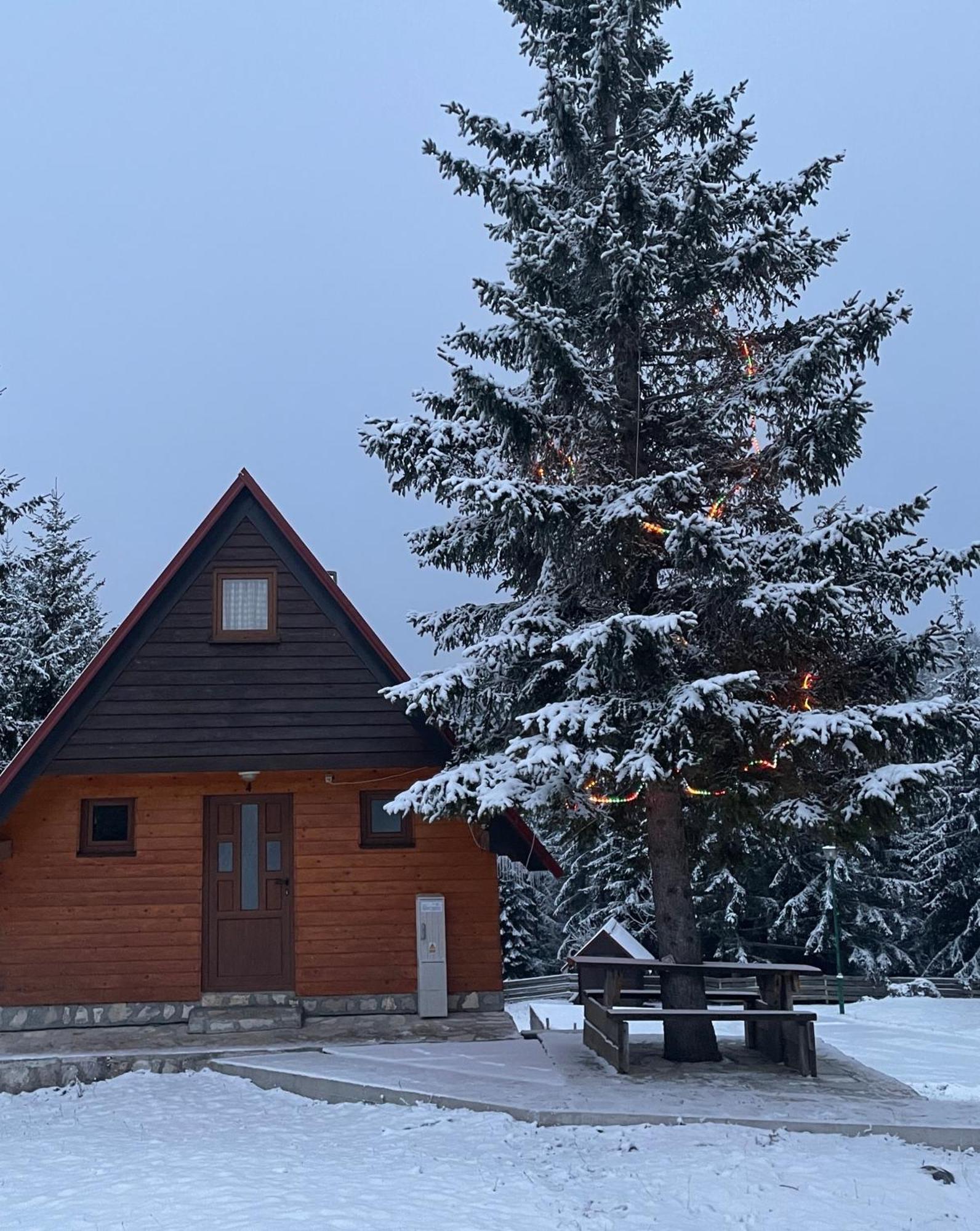 Bungalows Krstajic Žabljak Kültér fotó
